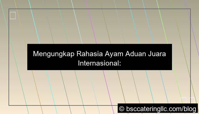 ayam aduan juara internasional