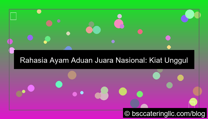 ilustrasi ayam aduan juara nasional