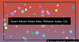 ayam aduan kelas atas