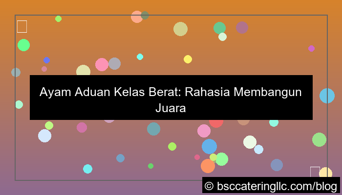 ayam aduan kelas berat