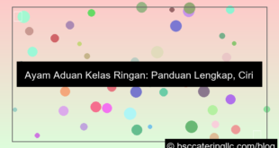 ayam aduan kelas ringan