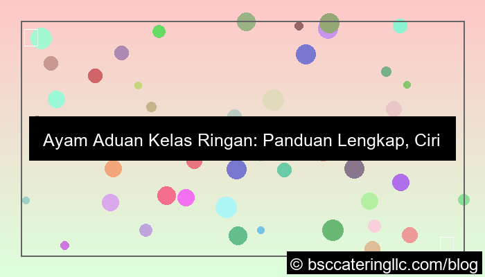 ayam aduan kelas ringan