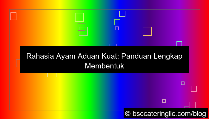 gambar ayam aduan kuat