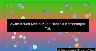 desain ayam aduan mental kuat