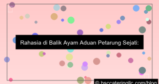 ayam aduan petarung sejati