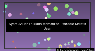 ayam aduan pukulan mematikan