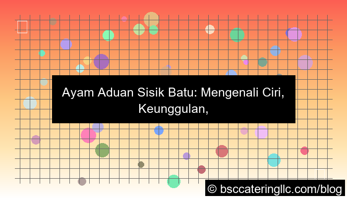 desain ayam aduan sisik batu