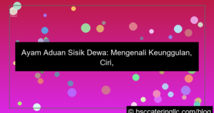 desain ayam aduan sisik dewa