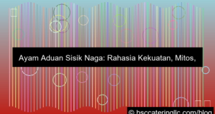 visual ayam aduan sisik naga