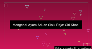 desain ayam aduan sisik raja