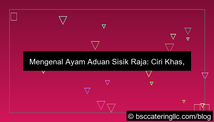 desain ayam aduan sisik raja