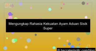 grafik ayam aduan sisik super