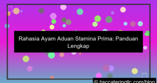 ilustrasi ayam aduan stamina prima