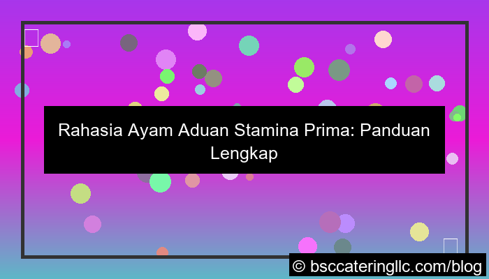 ilustrasi ayam aduan stamina prima