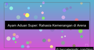 gambar ayam aduan super