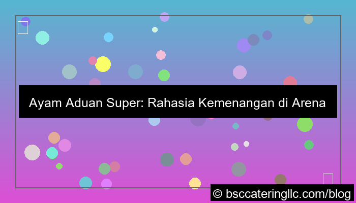 gambar ayam aduan super