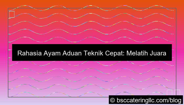 grafik ayam aduan teknik cepat
