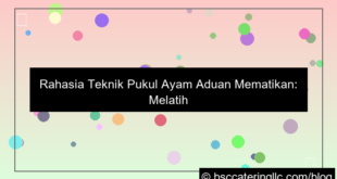 ayam aduan teknik pukul