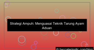 gambar ayam aduan teknik tarung