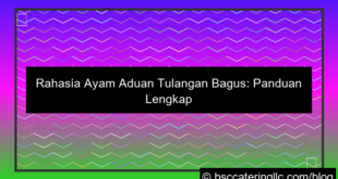 gambar ayam aduan tulangan bagus