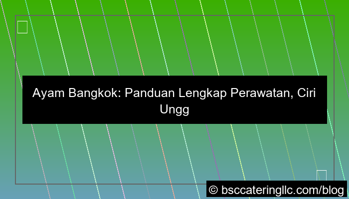 visual ayam bangkok