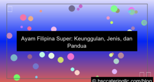 gambar ayam filipina super