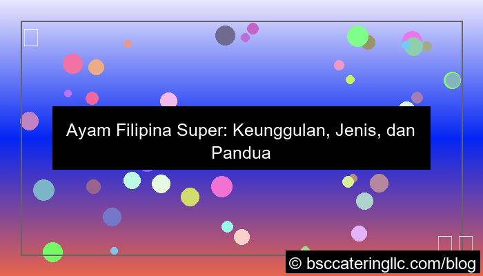 gambar ayam filipina super