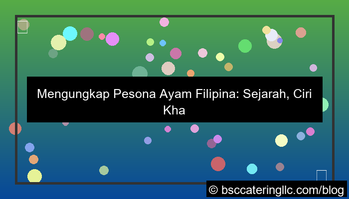 ilustrasi ayam filipina