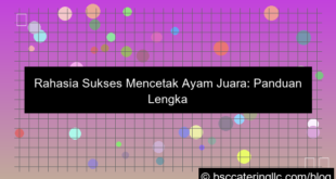 ayam juara