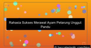 ayam petarung