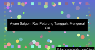 ilustrasi ayam saigon