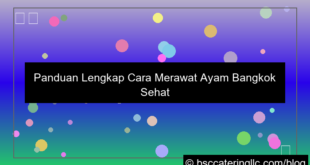 desain cara merawat ayam bangkok