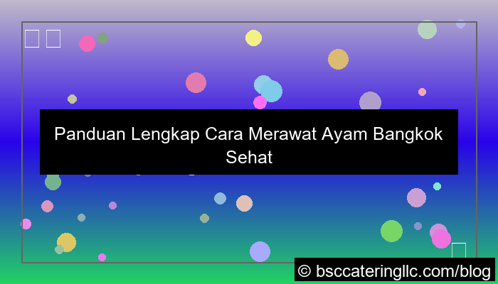 desain cara merawat ayam bangkok