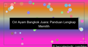 gambar ciri ayam bangkok juara