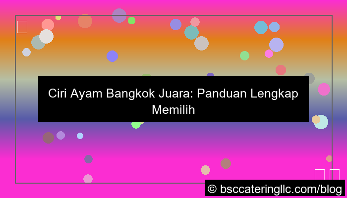 gambar ciri ayam bangkok juara