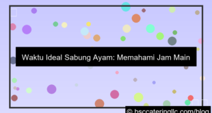 visual jam main sabung ayam