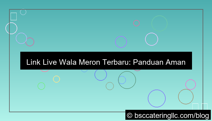 visual link live wala meron
