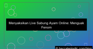 desain live sabung ayam
