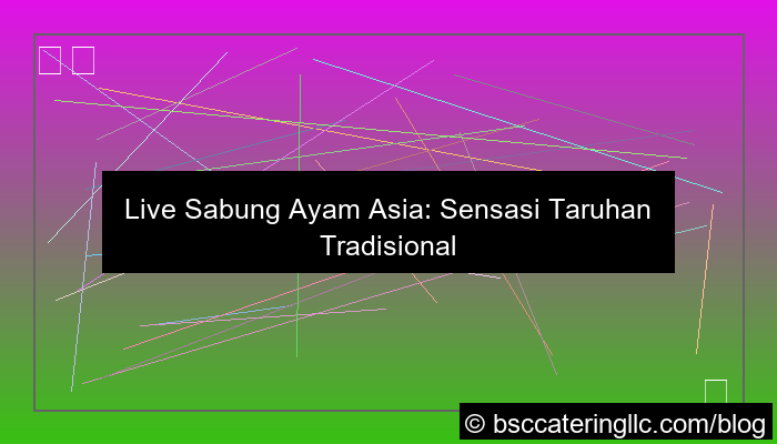 live sabung ayam asia