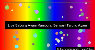 live sabung ayam cambodia