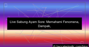 ilustrasi live sabung ayam sore