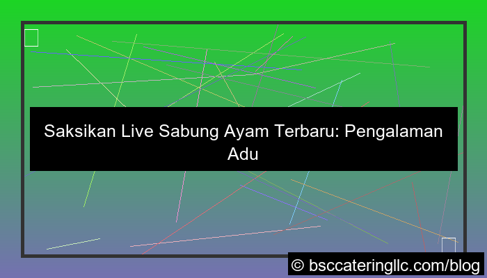 live sabung ayam terbaru