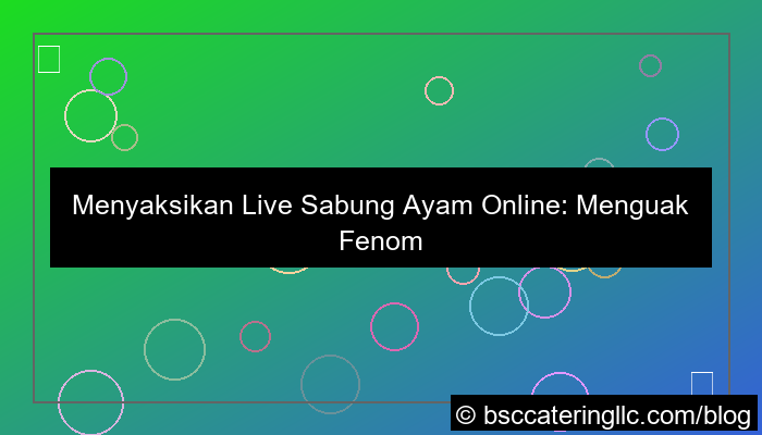 desain live sabung ayam