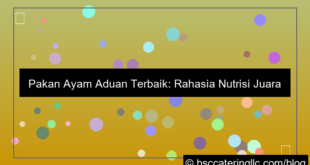 gambar pakan ayam aduan