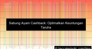 grafik sabung ayam cashback
