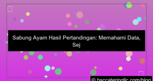 desain sabung ayam hasil pertandingan