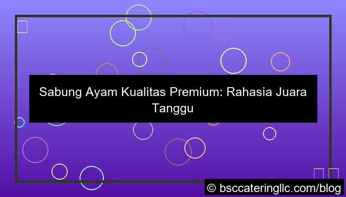 gambar sabung ayam kualitas premium