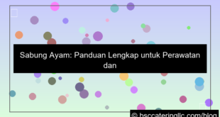 ilustrasi sabung ayam panduan lengkap