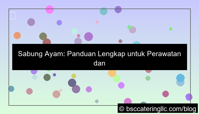 ilustrasi sabung ayam panduan lengkap