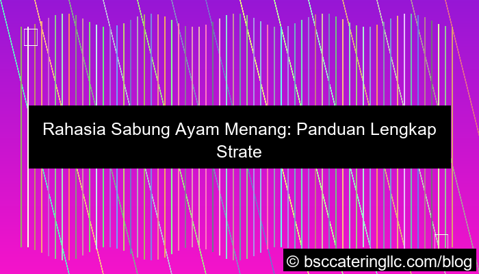 sabung ayam rahasia menang